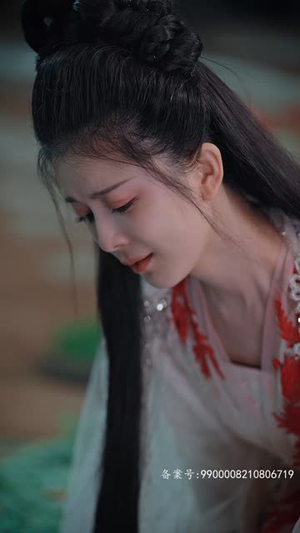 不负昭华(52集) 不负昭华(52集)完整版