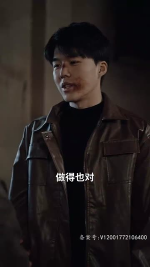 浴火重生(39集) 浴火重生(39集)热门短剧抢先