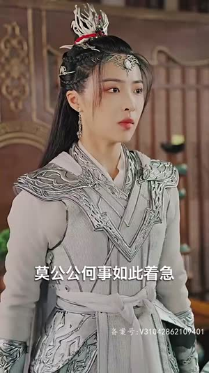 我的老婆是将军(97集) 我的老婆是将军(97集)免费看全网短剧