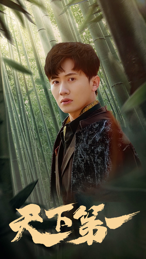 新版:天下第一(96集) 新版:天下第一(96集)全集一网打尽