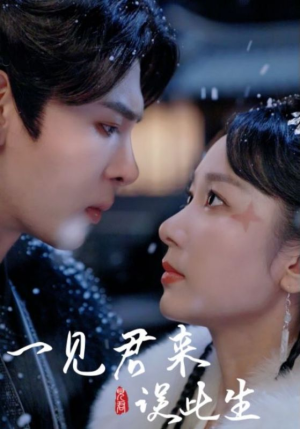 一见君来误此生(95集) 一见君来误此生(95集)在线看完整版