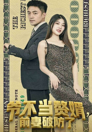 爷不当赘婿,前妻破防了(80集) 爷不当赘婿,前妻破防了(80集)精彩短剧天天看