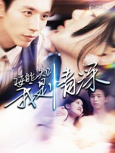 安能知我是情深(120集) 安能知我是情深(120集)直接看到大结局