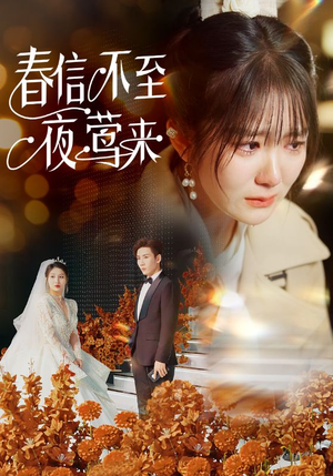 春信不至夜莺来(50集) 春信不至夜莺来(50集)热门短剧追不停