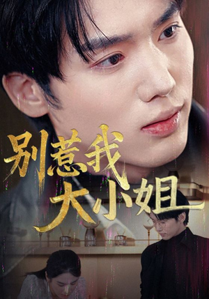 别惹我大小姐(40集) 别惹我大小姐(40集)在线观看