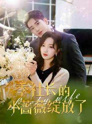 季社长的小蔷薇绽放了(60集) 季社长的小蔷薇绽放了(60集)爆火短剧追不停