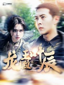 龙王殿叶辰(100集) 龙王殿叶辰(100集)免费在线看全集