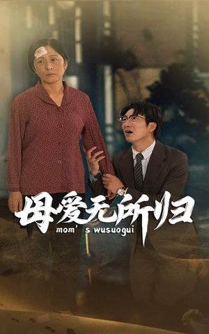 母爱无所归(33集) 母爱无所归(33集)全部免费看全集