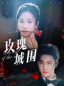 玫瑰城围(78集) 玫瑰城围(78集)第一集