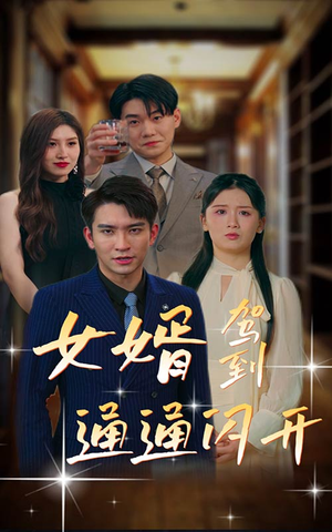 女婿驾到，通通闪开（34集）全季一次看完