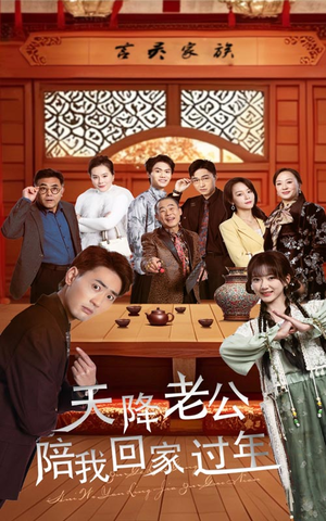 天降老公陪我回家过年(60集) 天降老公陪我回家过年(60集)热门短剧免费看