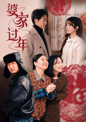 婆家过年(71集) 婆家过年(71集)全网独播免费看