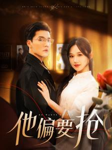 他偏要抢(130集) 他偏要抢(130集)解说