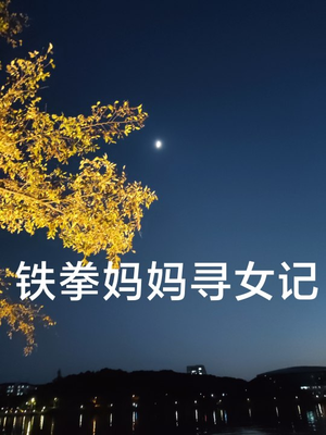 铁拳妈妈寻女记(69集) 铁拳妈妈寻女记(69集)百万短剧抢先看