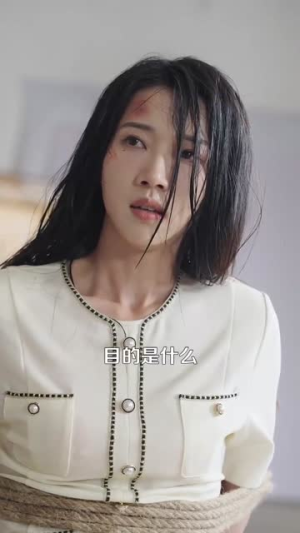 倾城之恋(100集) 倾城之恋(100集)免费短剧完整版