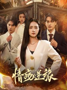 情殇逆旅(90集) 情殇逆旅(90集)精彩短剧推荐