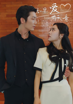 如果爱有天意(80集) 如果爱有天意(80集)一起看短剧