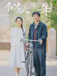 似火流年(100集) 似火流年(100集)1-102集