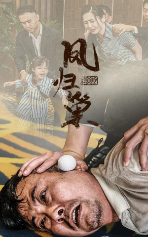 新版:凤归巢(68集) 新版:凤归巢(68集)独家资源免费看