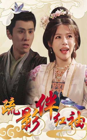疏影伴红袖(40集) 疏影伴红袖(40集)在线观看完整版