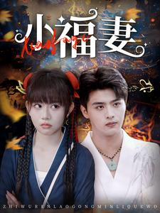 小福妻(62集) 小福妻(62集)第32集