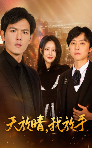 天放晴，我放手（35集）免费观看就是爽