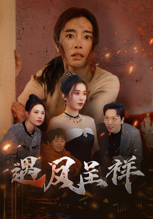 遇凤呈祥(50集) 遇凤呈祥(50集)大结局完美收官