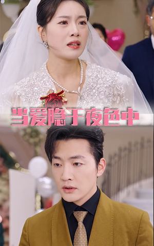 当爱隐于夜色中(37集) 当爱隐于夜色中(37集)直接追到结尾