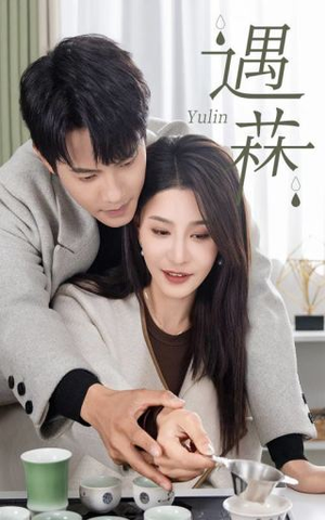 遇菻&遇霖(50集) 遇菻&遇霖(50集)全剧免费观看