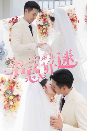 窈窕淑女,君总好逑(85集) 窈窕淑女,君总好逑(85集)看到了大结局