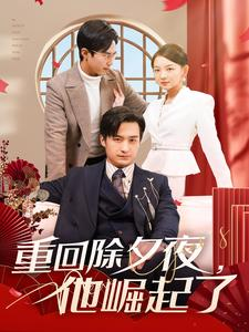 重回除夕夜他崛起了(89集) 重回除夕夜他崛起了(89集)精彩短剧分享