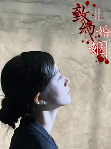 致幻婚姻(100集) 致幻婚姻(100集)红果免费看短剧