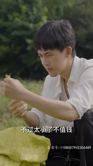 乡间幸福往事(80集) 乡间幸福往事(80集)热播短剧抢先看