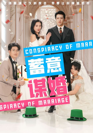 蓄意谋婚(30集) 蓄意谋婚(30集)在线观看