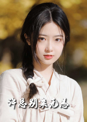 许总别来无恙(50集)  许总别来无恙(50集) 免费观看完整版