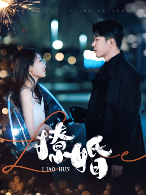 撩婚(90集)  撩婚(90集) 最火短剧热播中