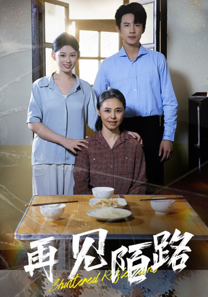 再见陌路(39集)  再见陌路(39集) 经典老剧免费看
