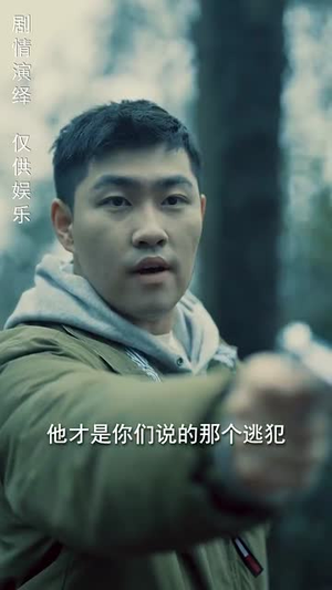 身份盲区(12集)  身份盲区(12集) 推荐你们也去看