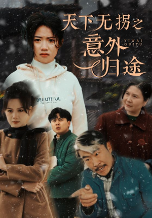 天下无拐之意外归途(61集)  天下无拐之意外归途(61集) 好看上头的短剧