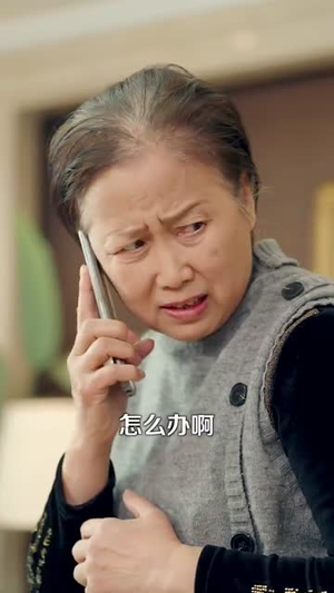 他的亿万谎言(99集)  他的亿万谎言(99集) 百度网盘在线看