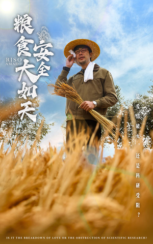 粮食安全大如天(43集)  粮食安全大如天(43集) 短剧太好看了吧