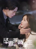 贤妻折翼逢生&雨落灯残梦(85集)   贤妻折翼逢生&雨落灯残梦(85集)  男频短剧推荐