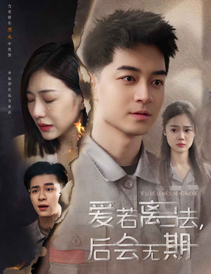 爱若离去,后会无期(70集) 爱若离去,后会无期(70集)全集免费观看