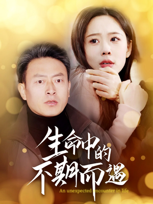 生命中的不期而遇(35集)  生命中的不期而遇(35集) 好看短剧看不停