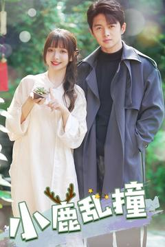 小鹿乱撞(40集)  小鹿乱撞(40集) 免费短剧看不停
