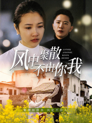 风中聚散不由你我(41集)  风中聚散不由你我(41集) 无需会员轻松看