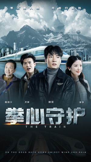 拳心守护(28集)  拳心守护(28集) 直接看到大结局