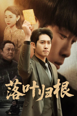 落叶归根(35集)  落叶归根(35集) 最新上映免费看