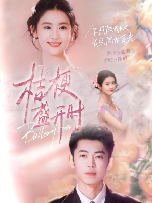 桔梗盛开时(92集) 桔梗盛开时(92集)免费看