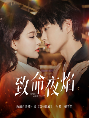 致命夜焰(80集) 致命夜焰(80集)好看上头短剧